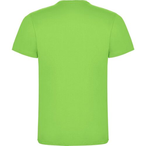 Camiseta de manga corta Mod. DOGO PREMIUM INFANTIL (114) Verde Oasis  Talla 3/4