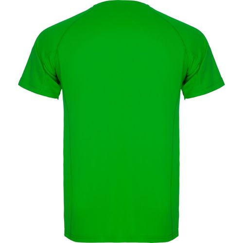 Camiseta tcnica Mod. MONTECARLO KIDS (226) Verde Helecho  Talla 4